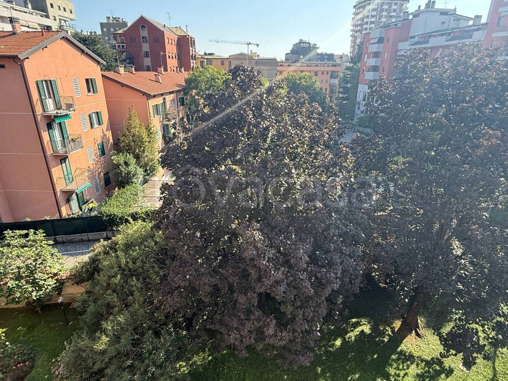 immagine annuncio 10 di 12