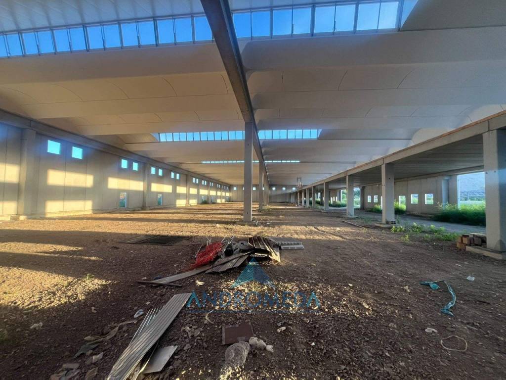 immagine annuncio 9 di 13