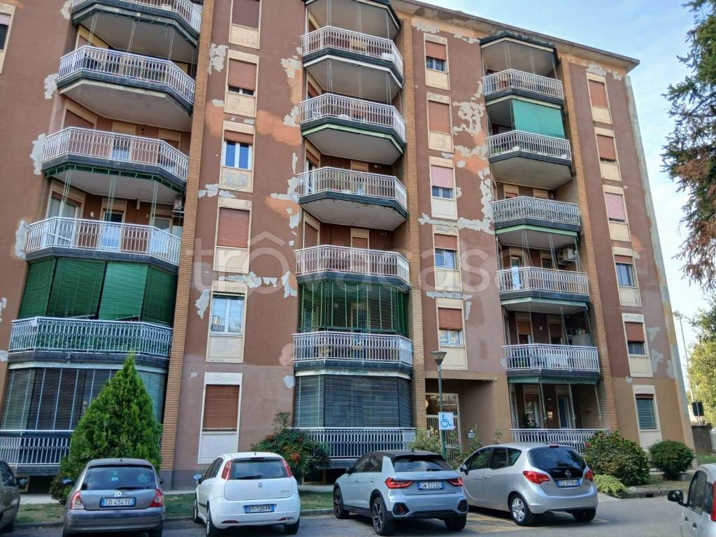 immagine annuncio 1 di 11