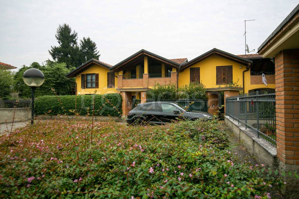 immagine annuncio 3 di 15