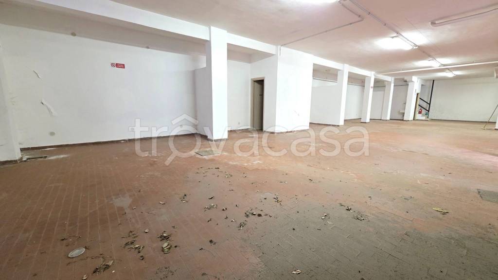 immagine annuncio 9 di 13