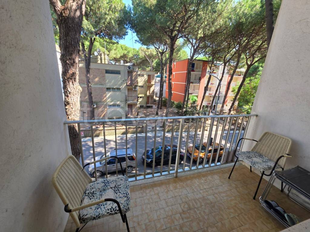 immagine annuncio 4 di 14