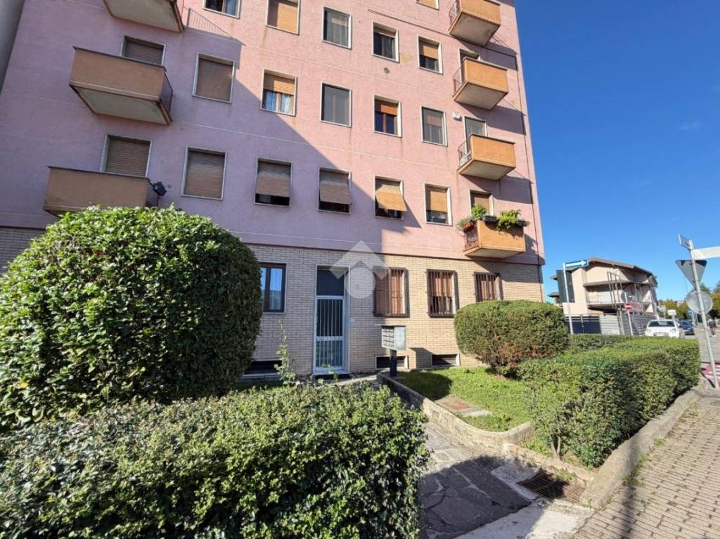 immagine annuncio 13 di 14
