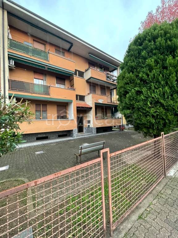 immagine annuncio 3 di 5