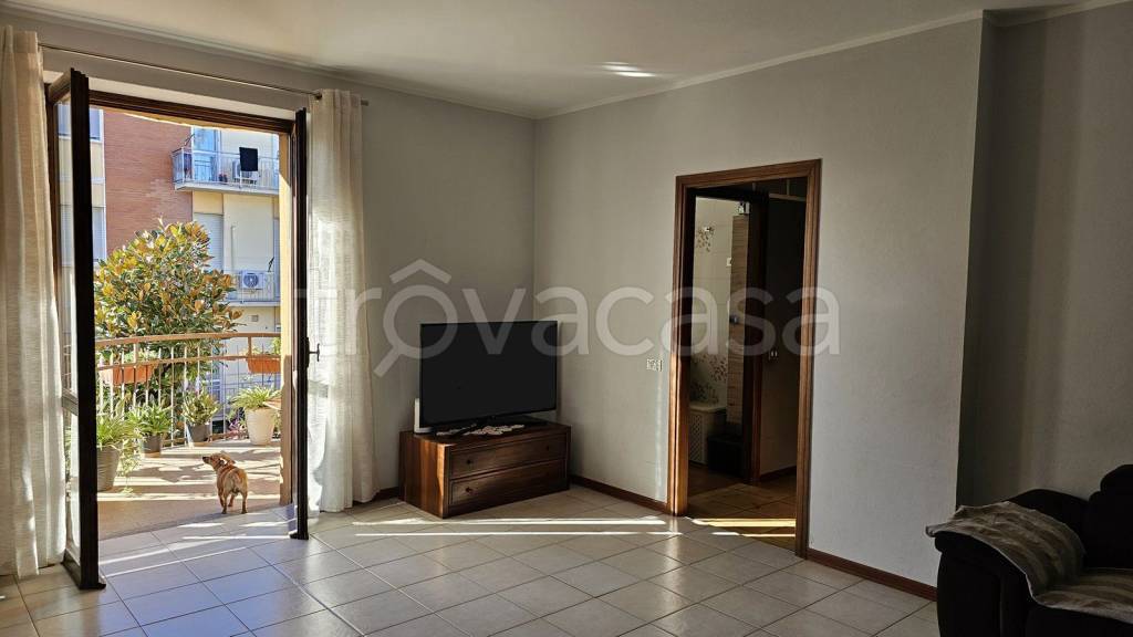 immagine annuncio 3 di 7