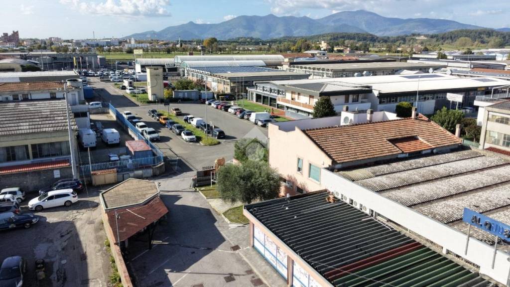 immagine annuncio 11 di 13