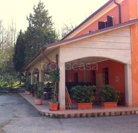 immagine annuncio 2 di 4