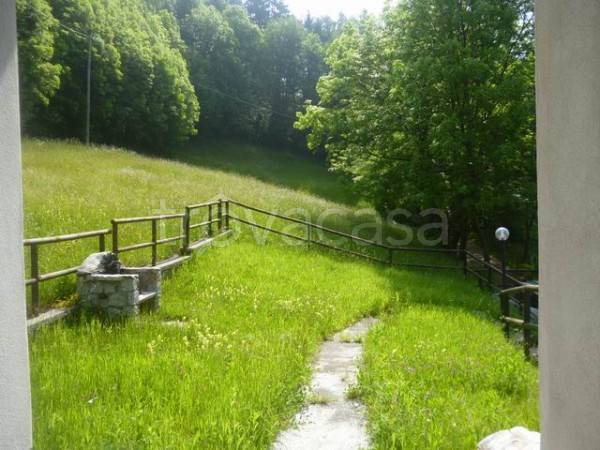 immagine annuncio 5 di 6