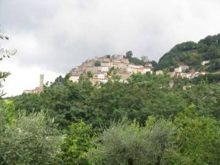 Rustico in in vendita da privato a pescia via mammianese nord