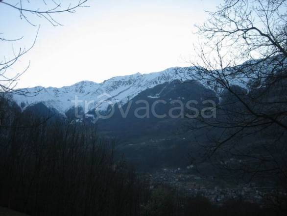 immagine annuncio 2 di 12