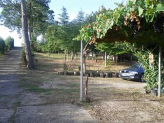 Terreno agricolo in vendita a benevento via raffaele viviani