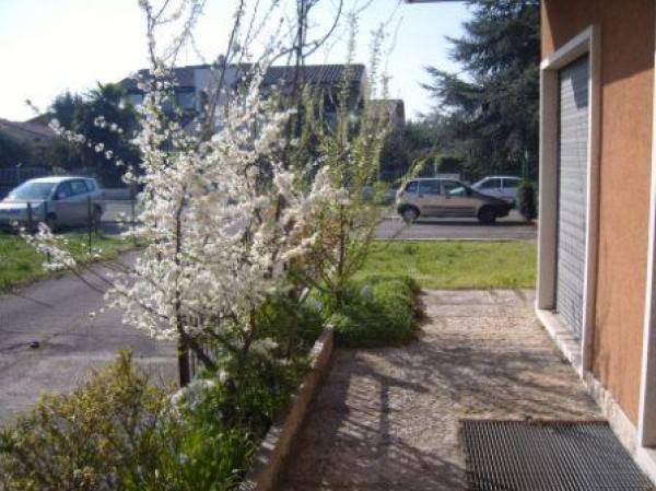 immagine annuncio 5 di 9