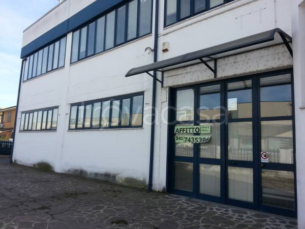 immagine annuncio 9 di 13