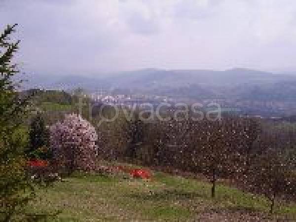 Terreno Residenziale in vendita a Sansepolcro via Tiberina Sud