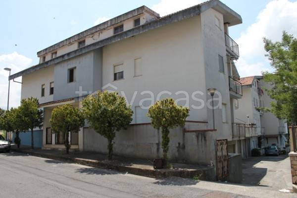 Appartamento in vendita a Santa Maria del Cedro contrada s. Bartolo, 10