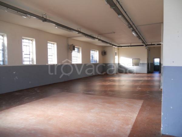 immagine annuncio 3 di 14