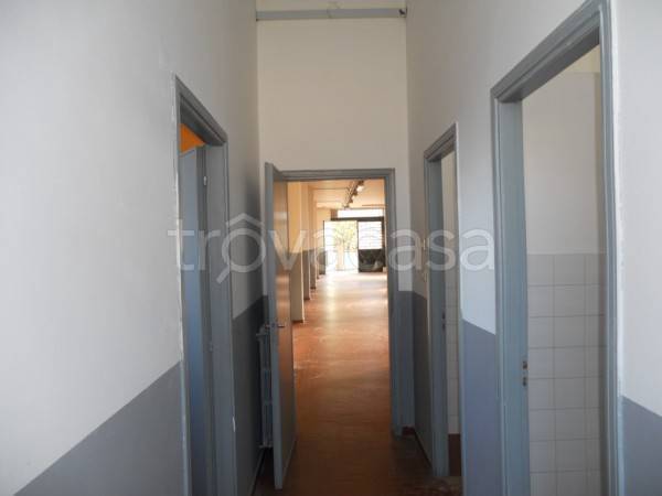 immagine annuncio 5 di 14