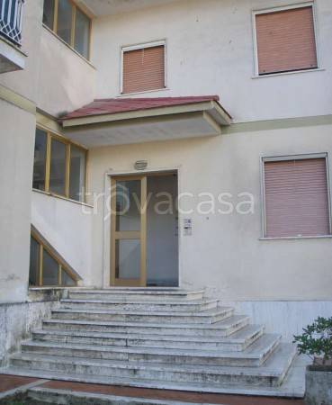 Appartamento in in vendita da privato a Manziana via Strada Croce