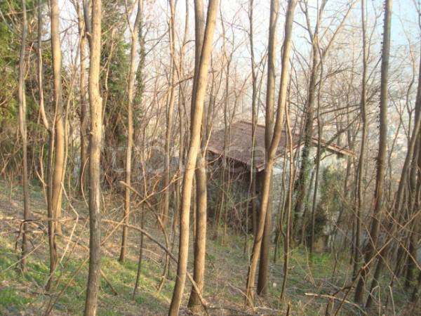 immagine annuncio 3 di 4