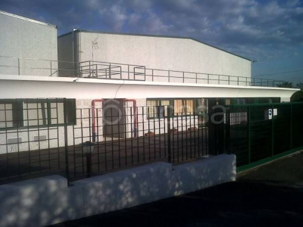 immagine annuncio 12 di 13