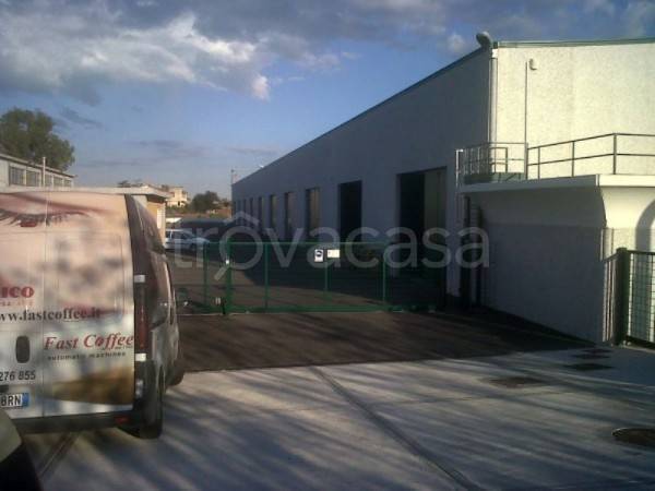 immagine annuncio 11 di 13