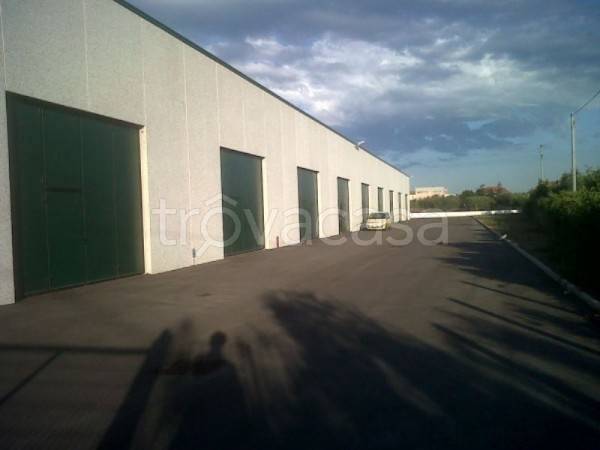 immagine annuncio 10 di 13