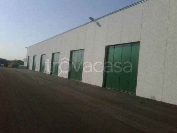 immagine annuncio 9 di 13