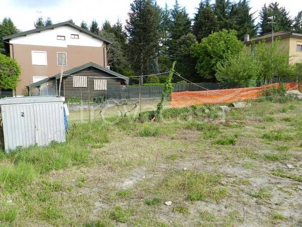 immagine annuncio 4 di 7