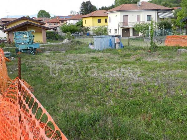 immagine annuncio 1 di 7