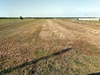 Terreno agricolo in affitto a cecina via vecchia aurelia, 42e