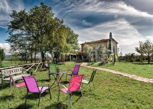 immagine annuncio 3 di 8