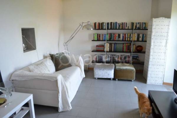 immagine annuncio 3 di 8