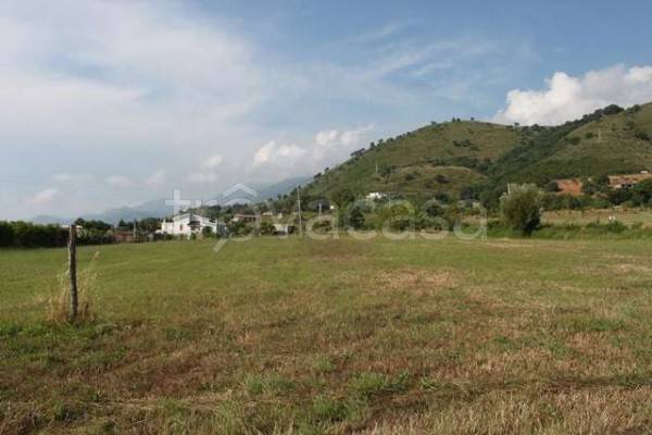 Terreno Agricolo in vendita a San Nicola Arcella contrada san giorgio