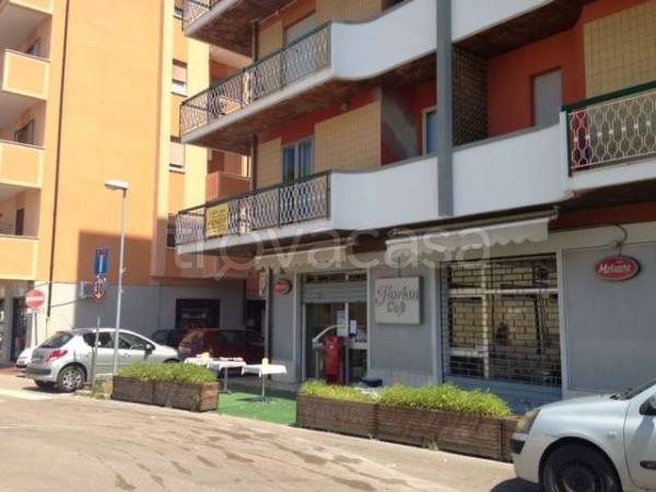 immagine annuncio 11 di 14