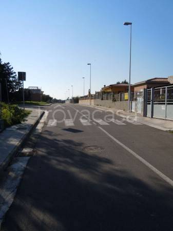 immagine annuncio 6 di 7