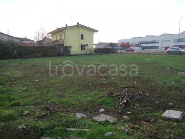 immagine annuncio 3 di 7