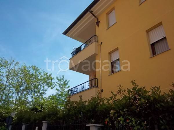 immagine annuncio 7 di 13