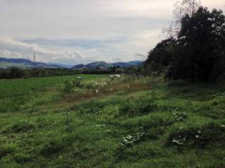 Terreno agricolo in vendita a vignola via casinetto santi