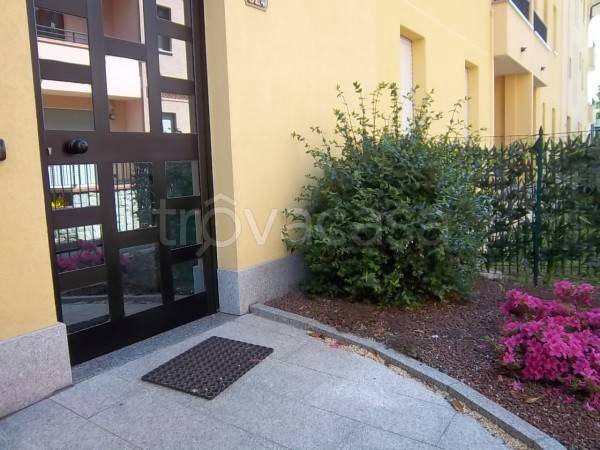 immagine annuncio 8 di 13