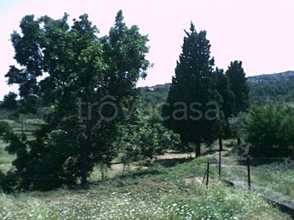 Terreno Agricolo in vendita a Piedimonte Etneo strada Provinciale 68, 43