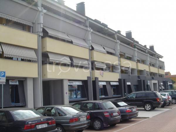 immagine annuncio 2 di 9