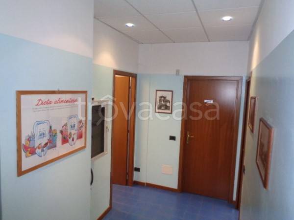 immagine annuncio 7 di 9