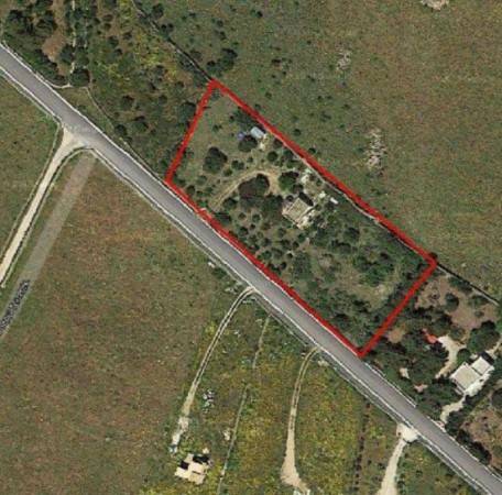 immagine annuncio 3 di 8