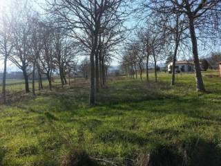 Terreno agricolo in vendita a bettona 