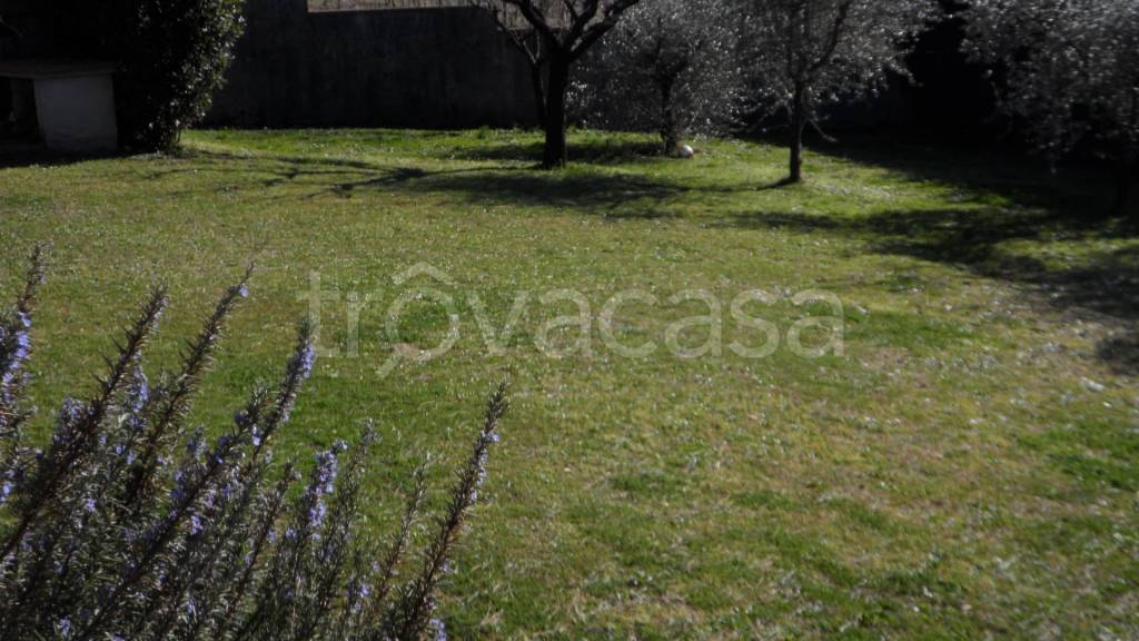 immagine annuncio 2 di 9
