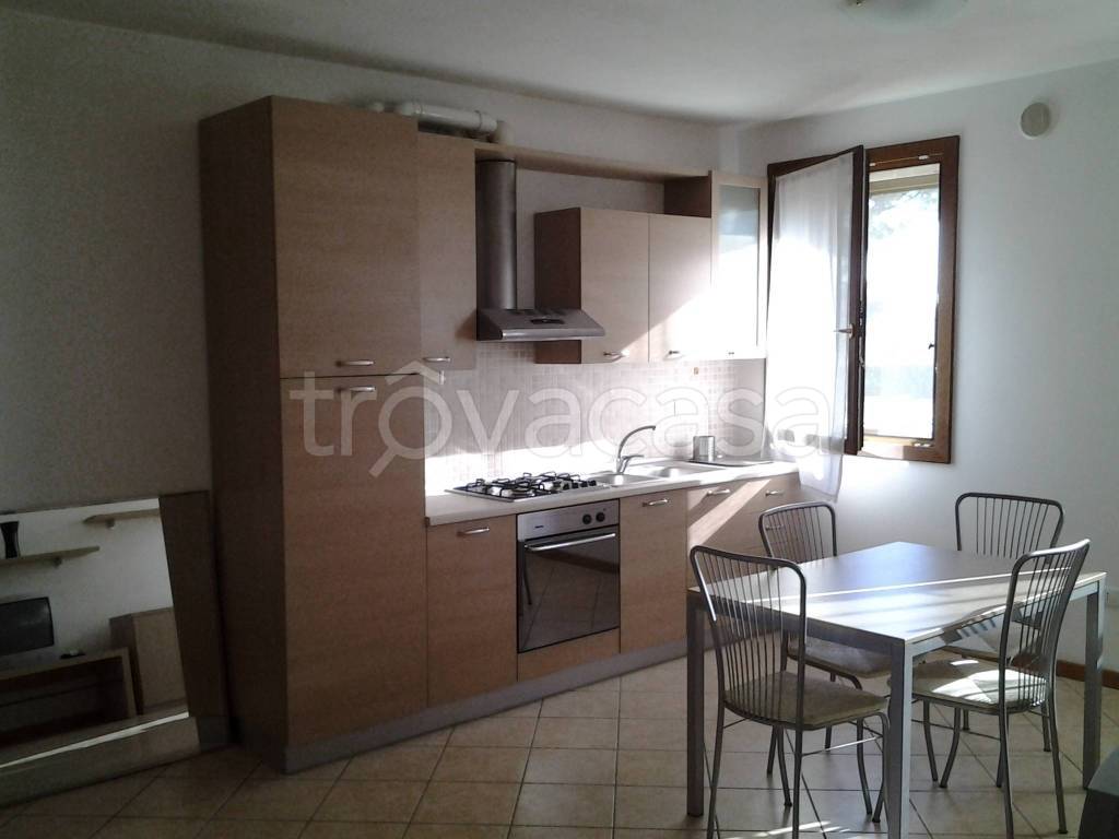 immagine annuncio 1 di 14