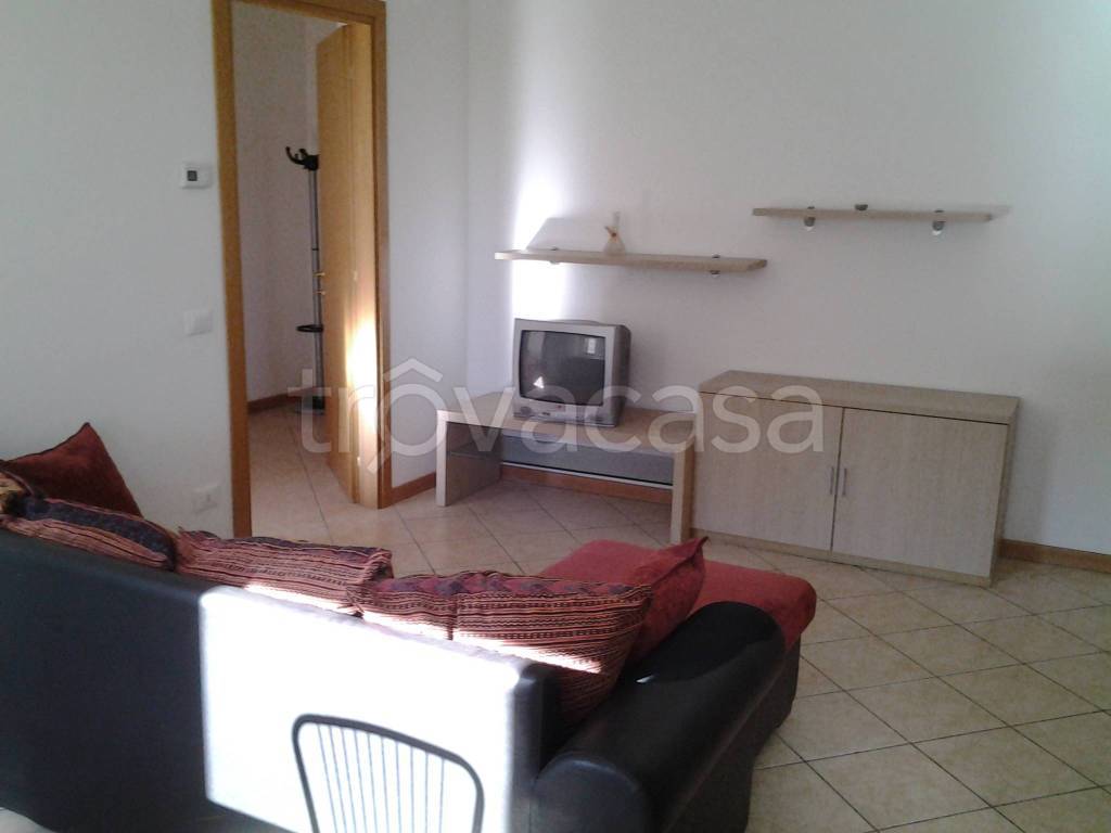 immagine annuncio 12 di 14