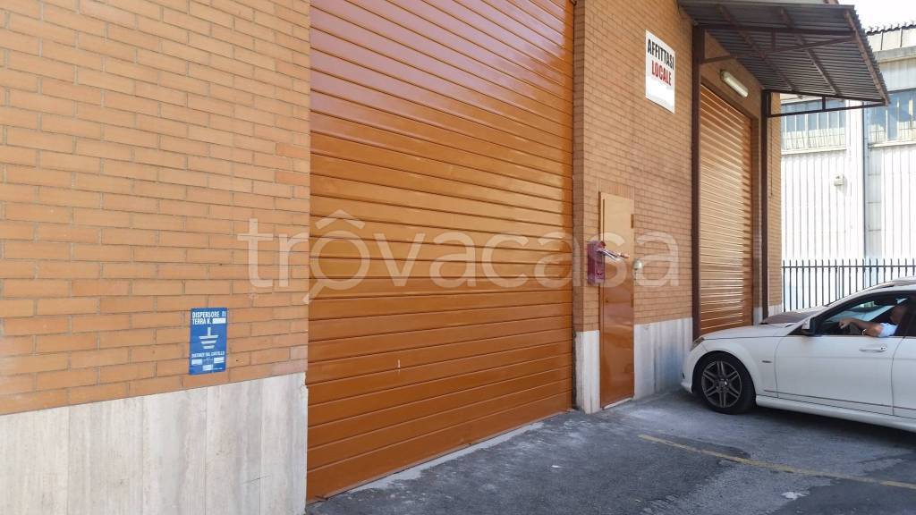 immagine annuncio 1 di 14