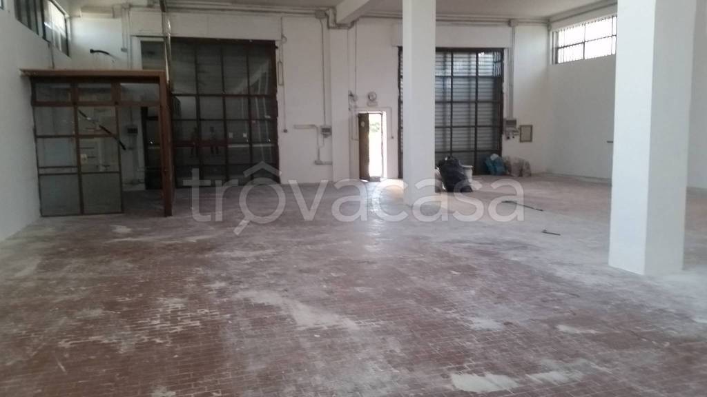 immagine annuncio 3 di 14