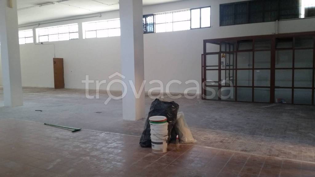 immagine annuncio 5 di 14